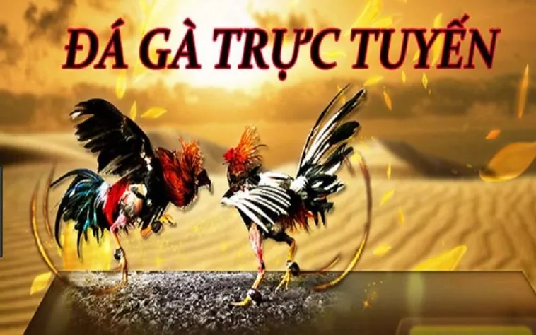 Đá Gà BJ88 Hấp Dẫn Người Chơi Với Trải Nghiệm Đỉnh Cao 2025