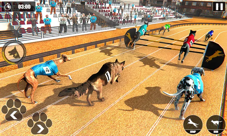 Hướng Dẫn Cách Chơi Game Nhanh Đua Chó Tại BJ88 Hiệu Quả 2 Hướng Dẫn Cách Chơi Game Nhanh Đua Chó Tại BJ88 Hiệu Quả