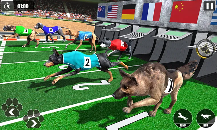 Hướng Dẫn Cách Chơi Game Nhanh Đua Chó Tại BJ88 Hiệu Quả